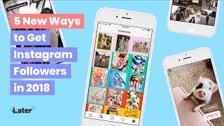 Live with Later: 5 New Ways to Get Instagram Followers in 2018 🌴