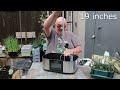 growing tomatoes in the letpot lph max indoor hydroponic system