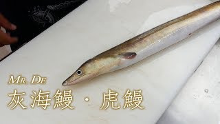 德先生 2018/03/26 灰海鰻‧虎鰻 - 鱧椀練習