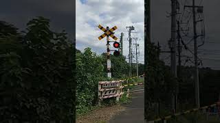 ゼブラ警標の踏切 Zebra railroad crossing