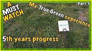 TruGreen after 5 years pt1