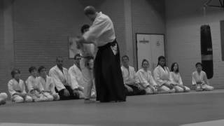 Aikido: the essentials of development