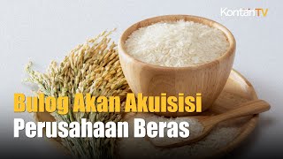 Strategi Baru Bulog Amankan Cadangan Beras | Kontan News