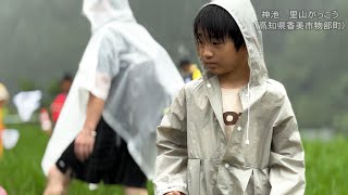 神池里山がっこう2023 第2回生きもの観察（高知県香美市）