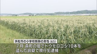 野菜を盗んだ容疑で逮捕の小学校教師　停職処分受け依願退職　浜松市