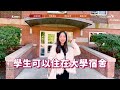 【kings new york】 美國遊學｜紐約超美隱藏版大學內語言學校，超大校園沉浸式遊學｜自助家遊學網studydiy