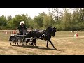 marcia boezeman driving pennette in cones