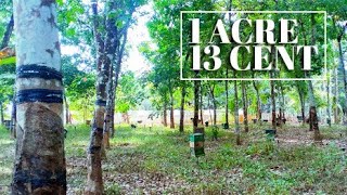 1 ACRE 13 CENT LAND SALE IN THURAVOOR ANGAMALI | 24 KERALA PROPERTIES | 183 th video |