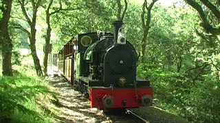 Linesiding the Talyllyn Railway