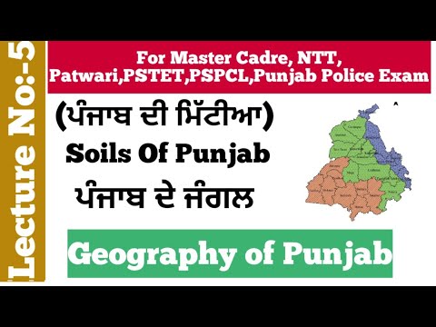 How many soils are there in Punjab?