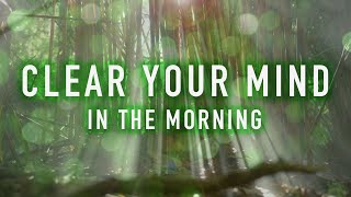 Clear Your Mind in the Morning - A Guided Mindfulness Meditation (8 minutes)