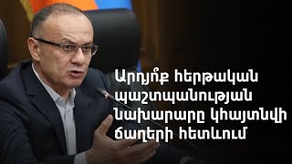 Անձեռնմխելիությունից զրկված Սեյրան Օհանյանին մեղադրանք է առաջադրվել