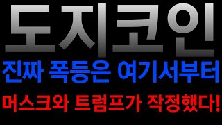 [도지코인 코인전망] 일론머스크 그리고 트럼프가 작정했네요!! 진짜 폭등은 이때부터 시작됩니다!!!