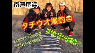 タチウオ爆釣！ドラゴン出ました！南芦屋浜 fishingmax芦屋店