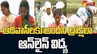 Network Problem For Online classes to Adivasi students in Agency Areas | Sakshi TV