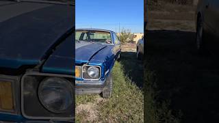 1976 Chevy Nova, BLUE