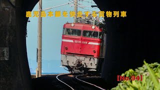 【鹿児島本線を快走する貨物列車 No.94】ED76/EF81/EF510 300番台/貨物列車走行動画2024年11月撮影