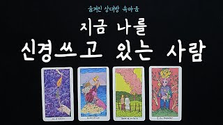 타로🦋 지금 당신을 신경쓰고 있는 사람🤯