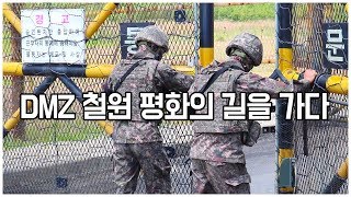 드디어 공개 된 비무장지대, DMZ 철원 평화의 길을 가다 / 훈타민