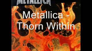 Metallica - Thorn Within (with lyrics)