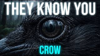 The Crow's Revenge: Why They Never Forget a Face