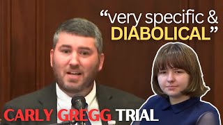 Carly Gregg Trial (Pt 16) | Rebuttal Forensic Psychiatrist (Direct Testimony)