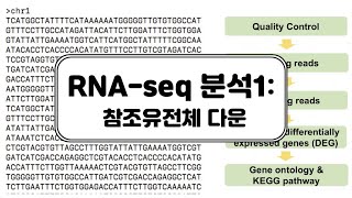 [RNA-seq분석] Read(Fastq) 맵핑/Alignment (1) 참조유전체 다운받기/기본개념