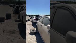 LKQ pick a part! Best Junk yard in America #shorts #cars #automotive