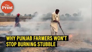 Why Punjab farmers won't stop burning stubble, despite the black fields \u0026 air pollution