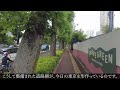 【gaiemmae sta.】enjoy the trendy cafes and gardens 【ginza line】【外苑前駅】お洒落なカフェや庭園で癒される！【銀座線】