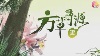 《方草尋源III》 第8集 | 秋香理夏脾 | 鮑起靜 、陳少霞 | Adventure For The Herbal Medicine III EP08 | ATV