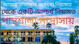 পান্থশালা মাদ্রাসায় আল্লাহ তায়ালার নিয়ামতের একটি দৃশ্য