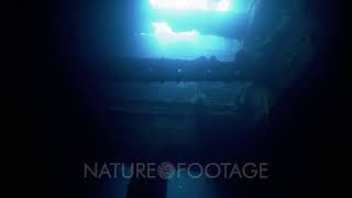 Japanese WW2 shipwreck Fujikawa Maru Truk Lagoon