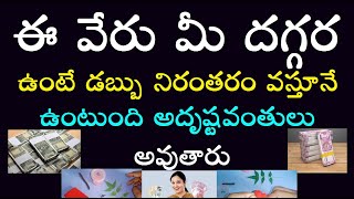 ఈ వేరు మీ దగ్గర ఉంటే డబ్బు నిరంతరం వస్తూనే ఉంటుంది అదృష్టవంతులు అవుతారు