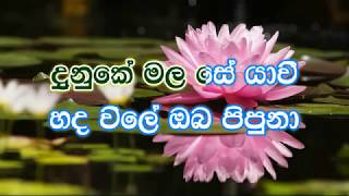 Hada Vile Oba Pipuna karaoke (without voice) - හද විලේ ඔබ පිපුණා