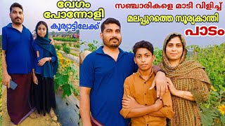 Keralavillagelife//malappuram soorya kanthi padam//സഞ്ചാരികളെ മാടിവിളിച്ച് മലപ്പുറം സൂര്യകാന്തി പാടം