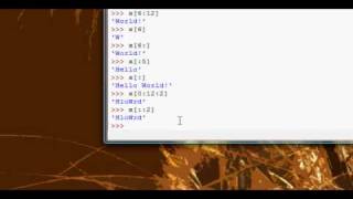 Python Tutorial #9 - Indexing & Slicing - Part 2