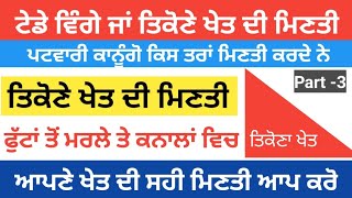 ਤਿਕੋਣੇ ਜਾਂ ਟੇਡੇ ਮੇਡੇ ਖੇਤ ਦੀ ਮਿਣਤੀ ||ਫੁੱਟਾਂ ਤੋਂ ਮਰਲੇ ਤੇ ਕਨਾਲਾਂ ਵਿੱਚ।। Monty cyber cafe