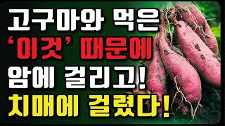 고구마 먹을때 절대로 함께 먹지마세요! 암과 치매에 걸릴 수 있습니다! 최악의 궁합인 3가지와 최고의 음식 3가지 고구마 먹을때 이것만 안먹으면 됩니다