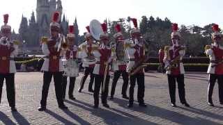 2014年1月1日　東京ディズニーランドバンド　TDL　元旦