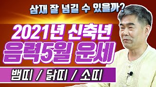 신축년 음력5월 뱀.닭.소 운세. 음력 5월에는 삼재 무사히 넘어갈 수 있을까? Feat. 법사 정명환