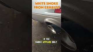 White Smoke from Exhaust #whitesmoke #exhaust