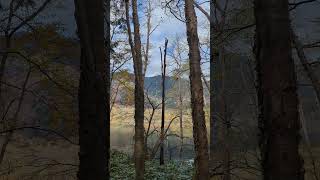 長野　上高地　自然探勝ゾーン　Nagano KamiKochi Exploring zone　紅葉　autumn leaves🍁