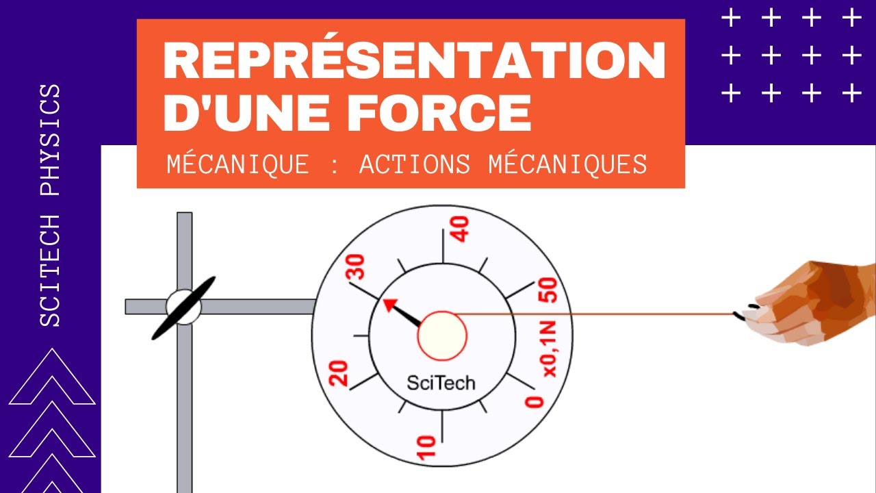 3- Représentation Vectorielle D'une Force| Animation Physique | Physics ...