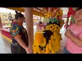 lion dance prayer 赛前参拜 zurich cup u0026 johor traditional lion dance league @ hwee ling kuan