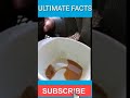 Myth #1 if alcohol is poured on a scorpion, it starts stinging itself|#ytshorts #facts #amazingfacts