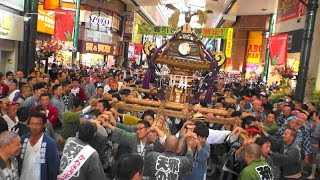 28年 第39回  川崎市民祭り  神輿パレード「おもてなしﾊﾟﾚｰﾄﾞ」です　。