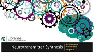Chapter 9 - Neurotransmitter Synthesis