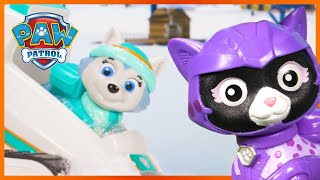 1 Hour of Cat Pack Toy Rescues Missions! - PAW Patrol - Toy Pretend Play for Kids