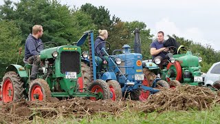 Primiere - Röwer Herold Pflug am Allgeier Traktor einstellen und Pflügen Neuengörs 2021 Lanz OK